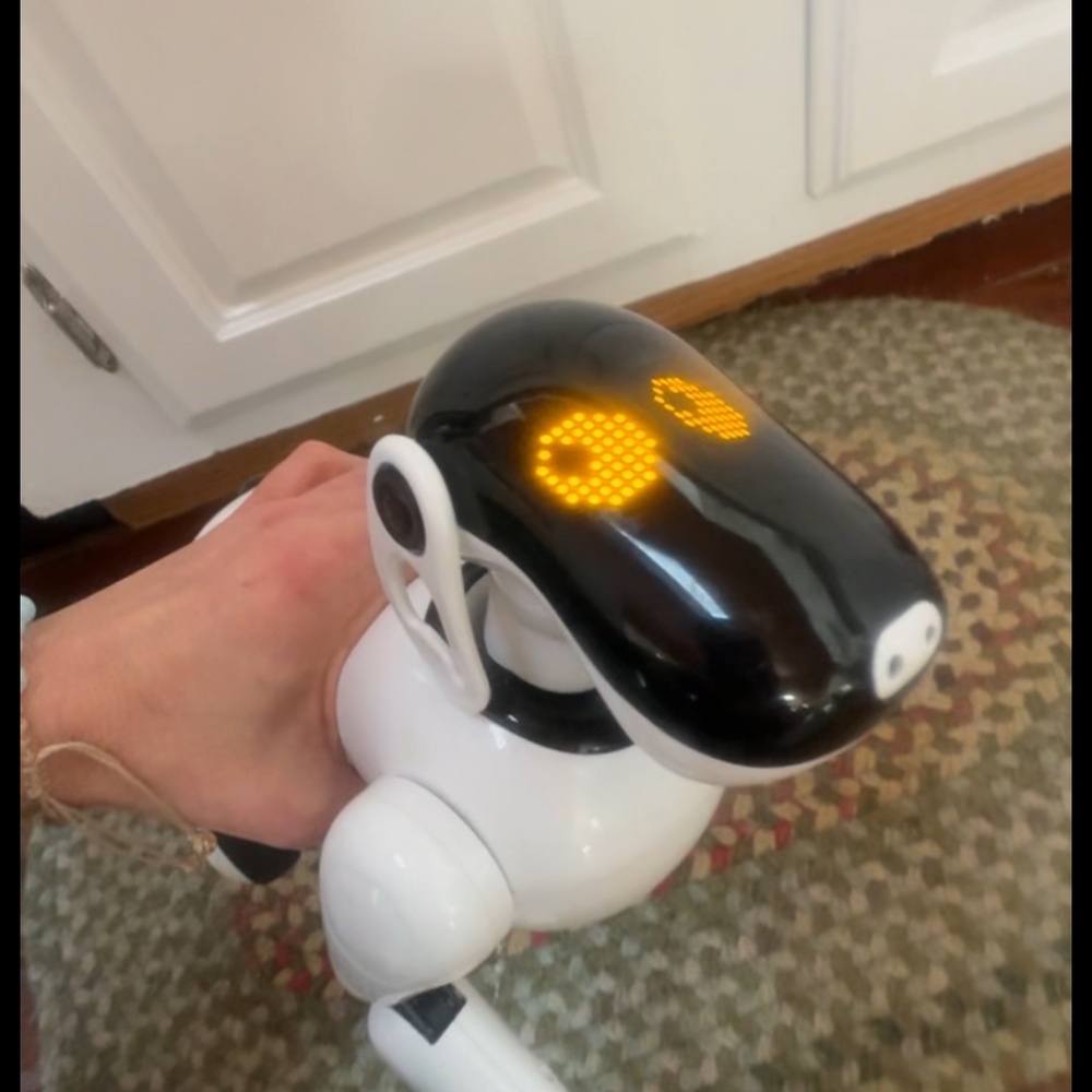 Gizmo robot dog (missing tail) still works
